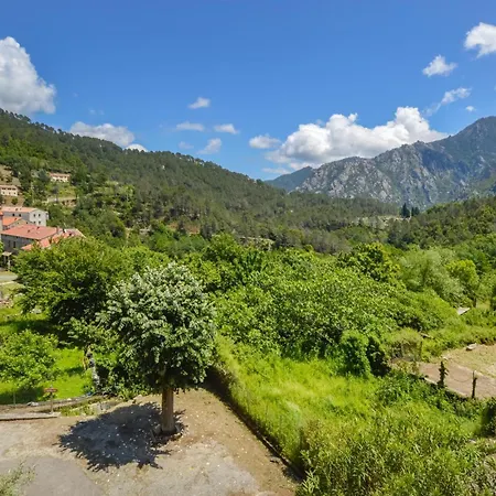 1 Bedroom Amazing In Appartement *