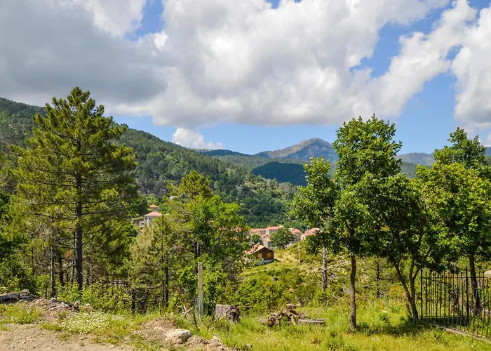 Apartment 1 Bedroom Lovely In Ghisoni